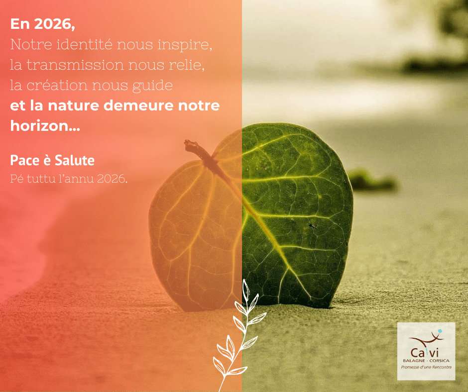 Nos vœux pour 2026 : transmettre, créer et&nbsp;préserver